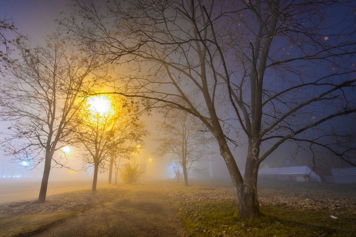 Туман придает улицам сказочности