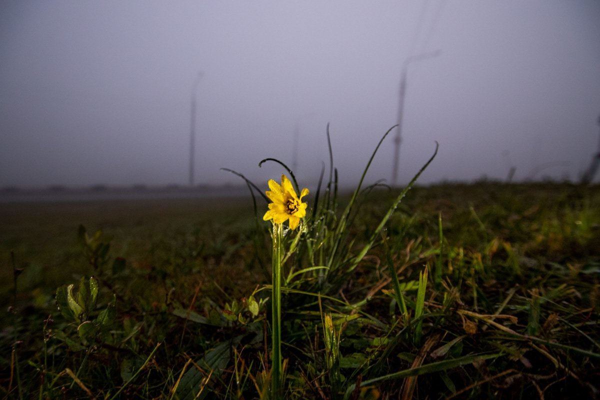 Отголоски лета