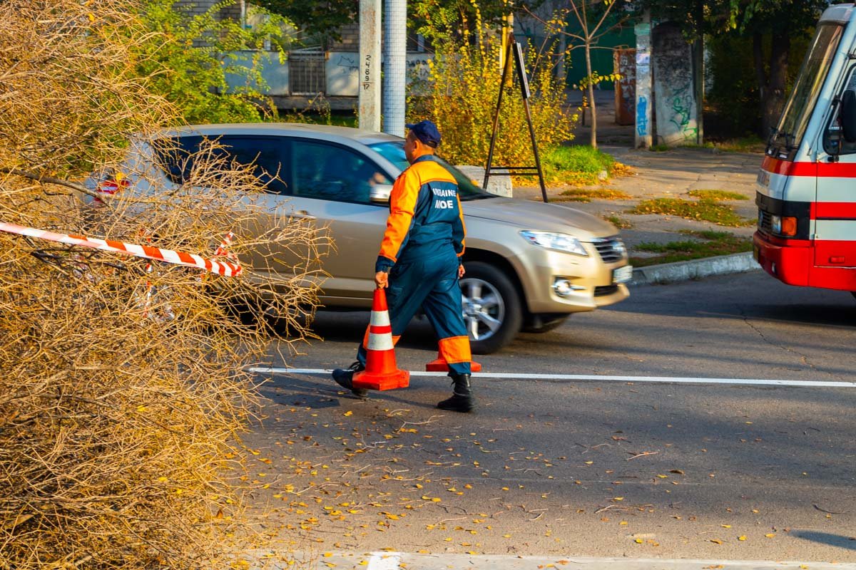 Приблизительно в 9:15 на место прибыли спасатели