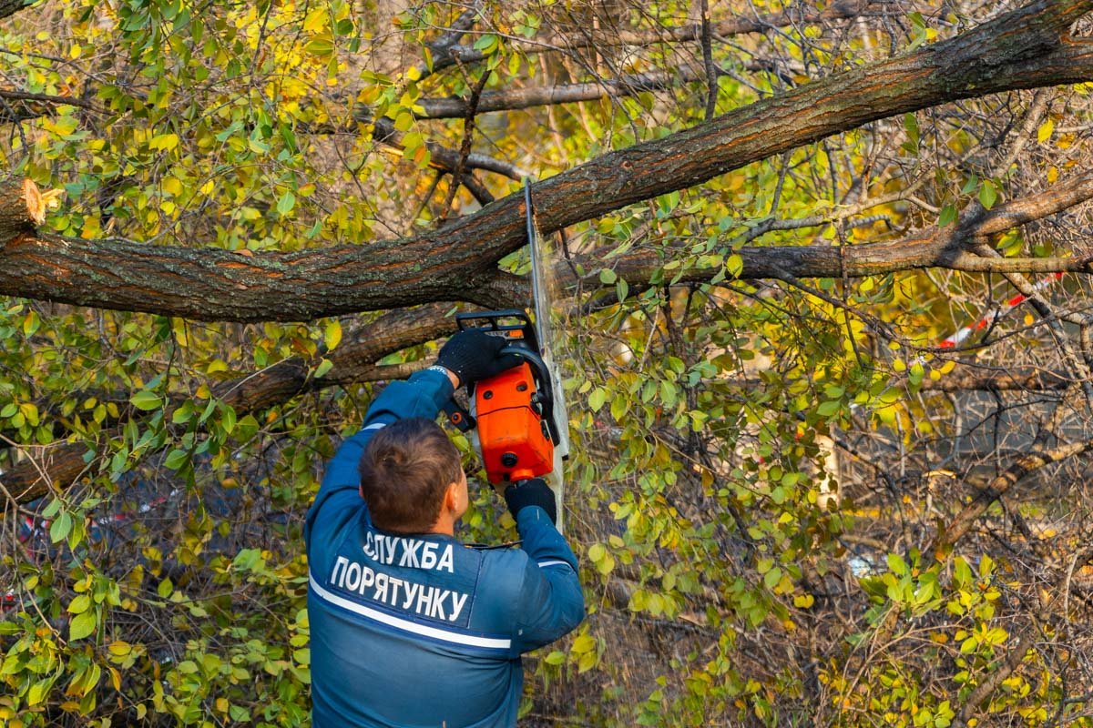 Работы займут не более часа