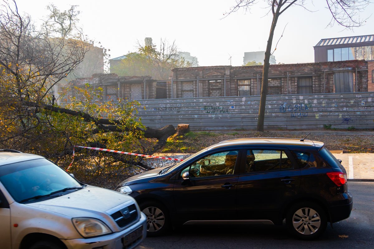 Как и когда дерево оказалось на проезжей части - неизвестно