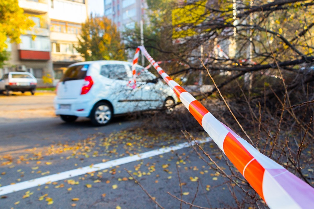 На время проведения работ аварийный участок оградили конусами