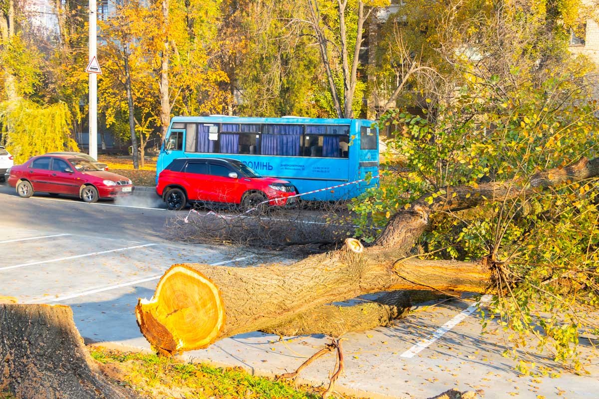 Движение транспорта скоро нормализуется 