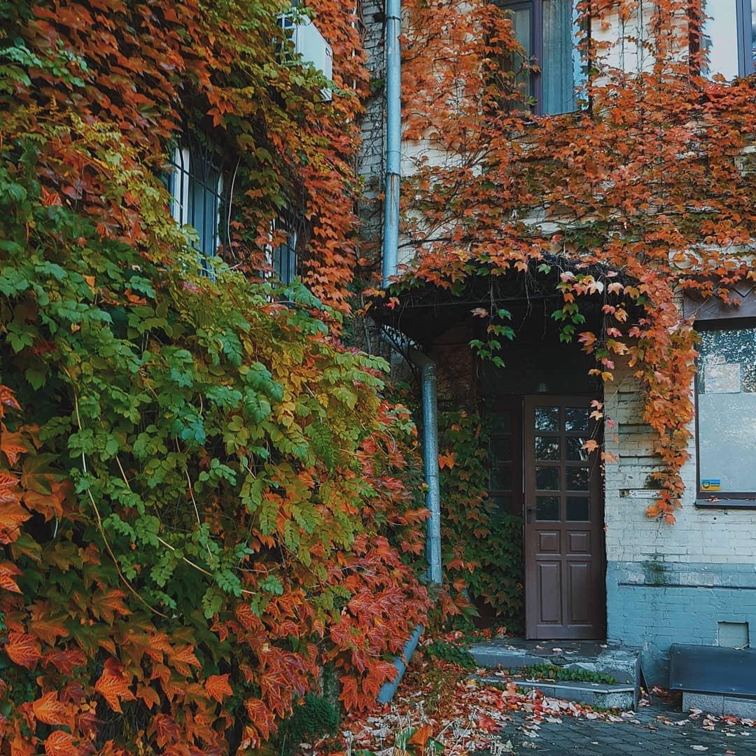 Днепр прячется в листьях. Фото: deniska_ua Днепр прячется в листьях. Фото: deniska_ua