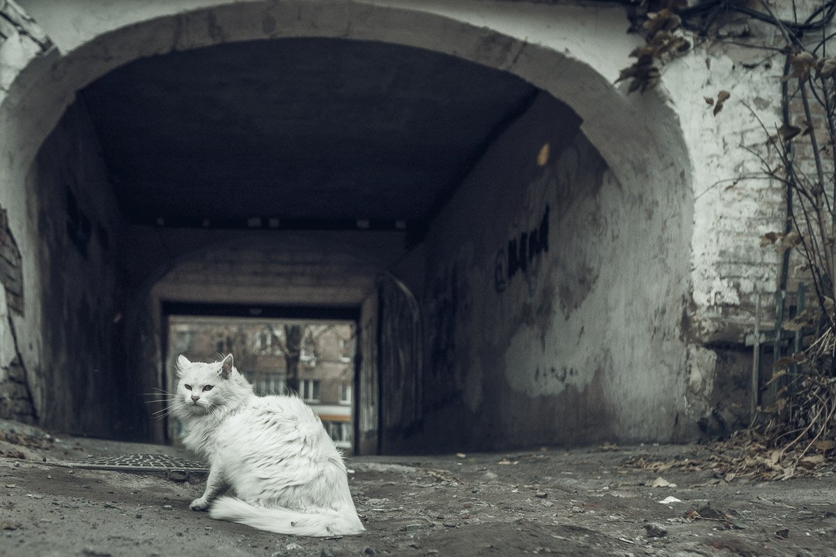 Тебе не рады Тебе не рады