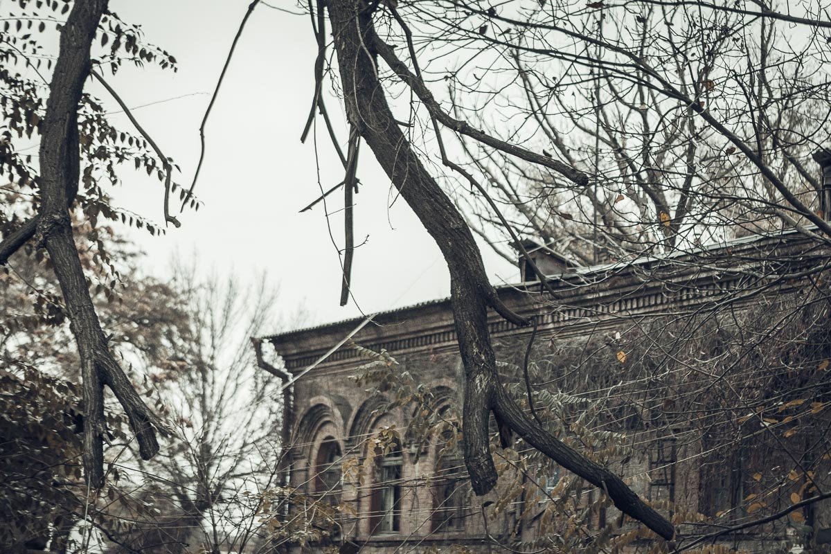 Осень медленно кутает в тоску Осень медленно кутает в тоску