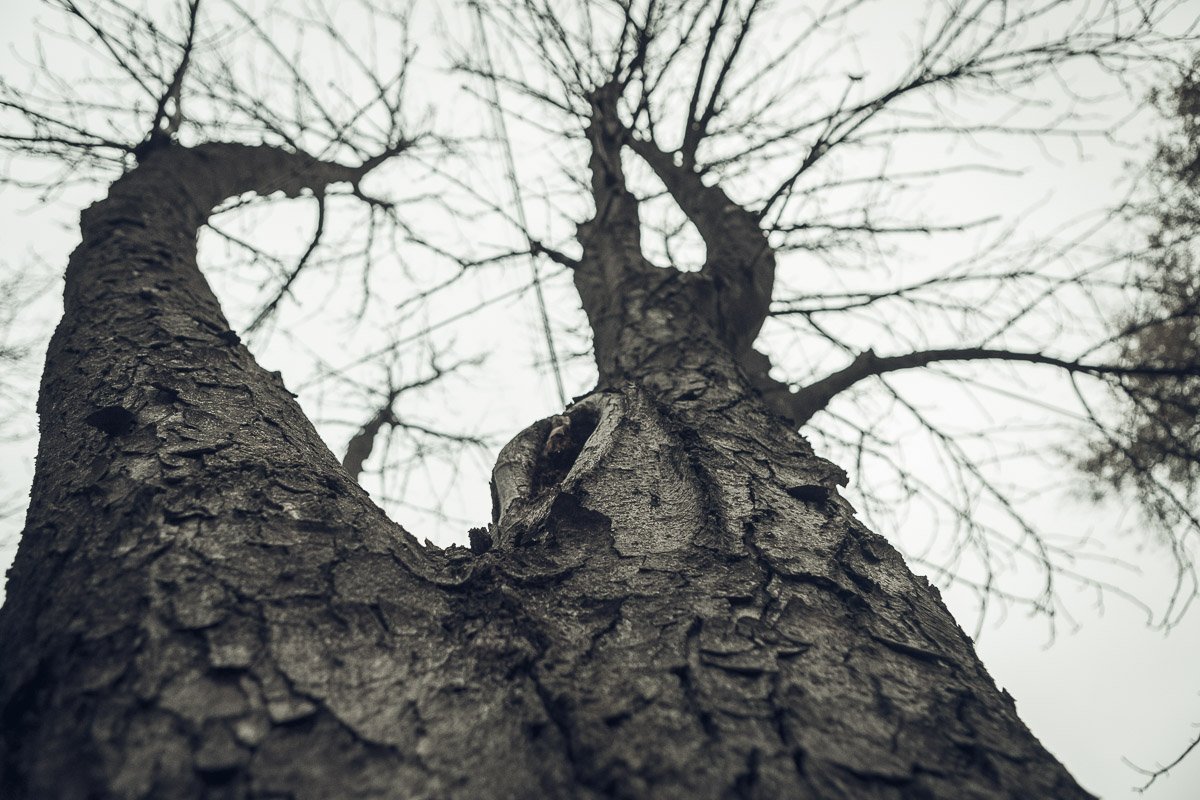 Двое носок на носок, свитер на свитер и шарф. Шею обвил как удав, нос и рот плотно зажав Двое носок на носок, свитер на свитер и шарф. Шею обвил как удав, нос и рот плотно зажав