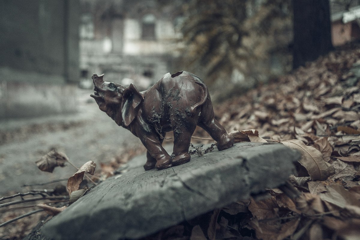 Потерялся Потерялся