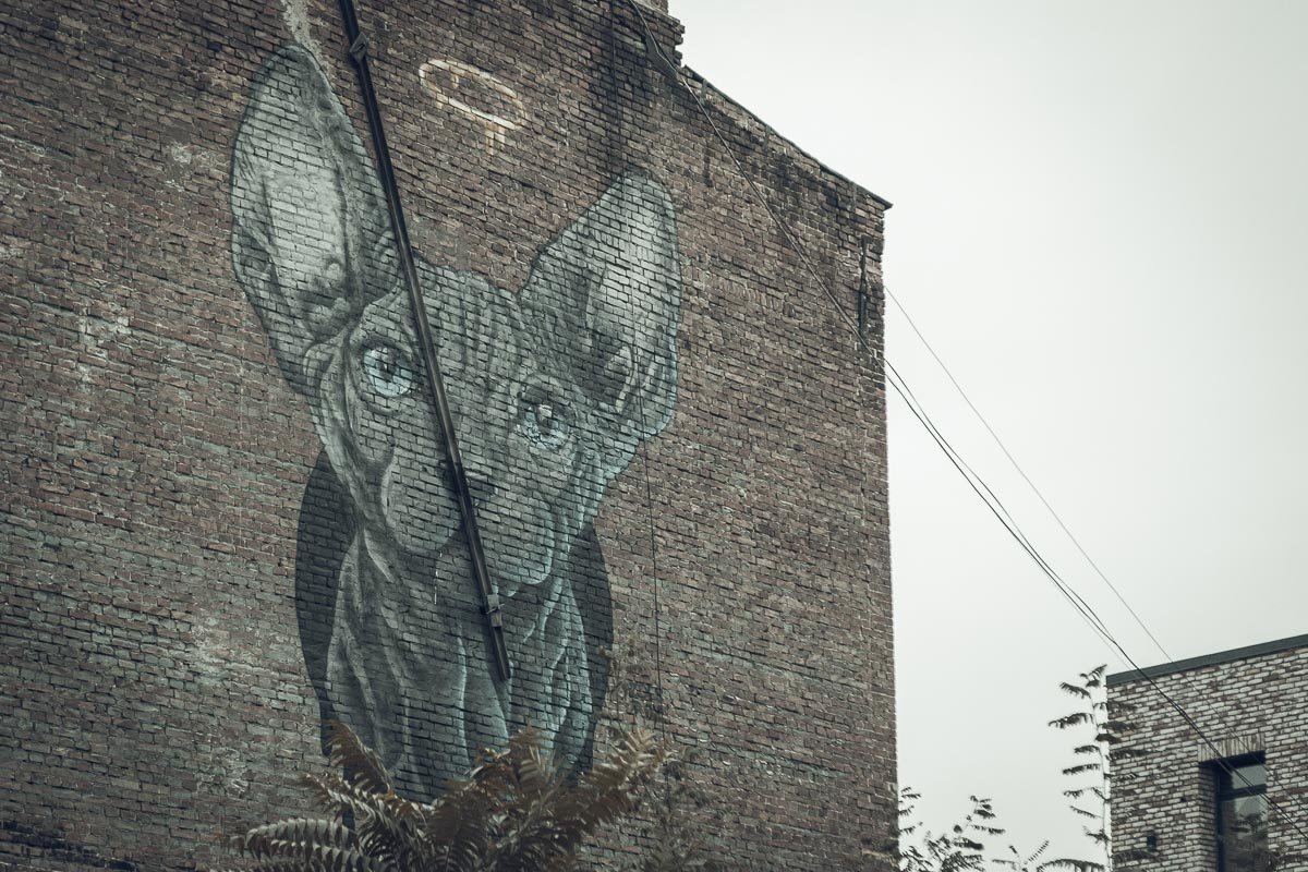 Ты не услышишь, как он мурчит Ты не услышишь, как он мурчит