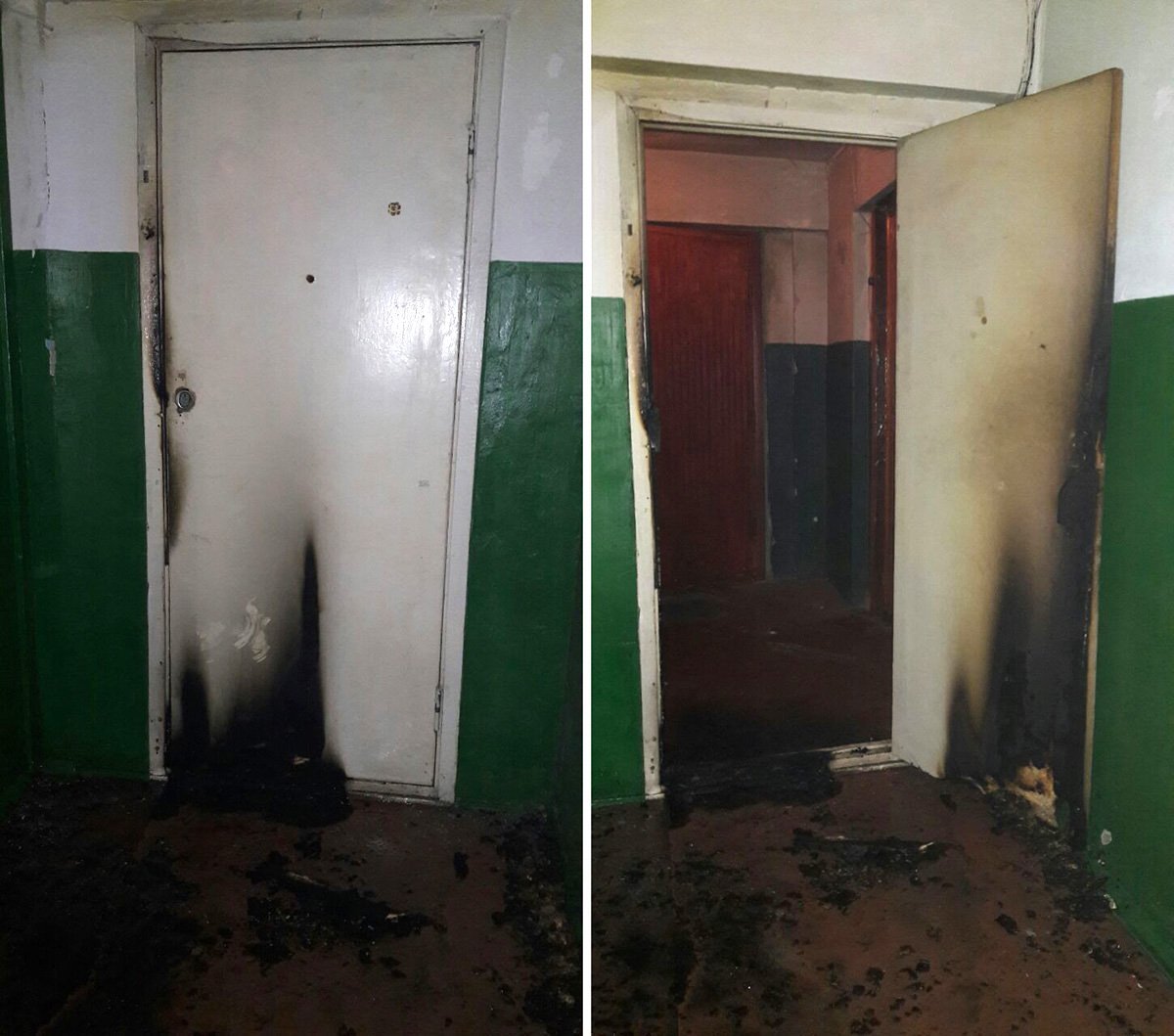 Происшествие обошлось без человеческих жертв