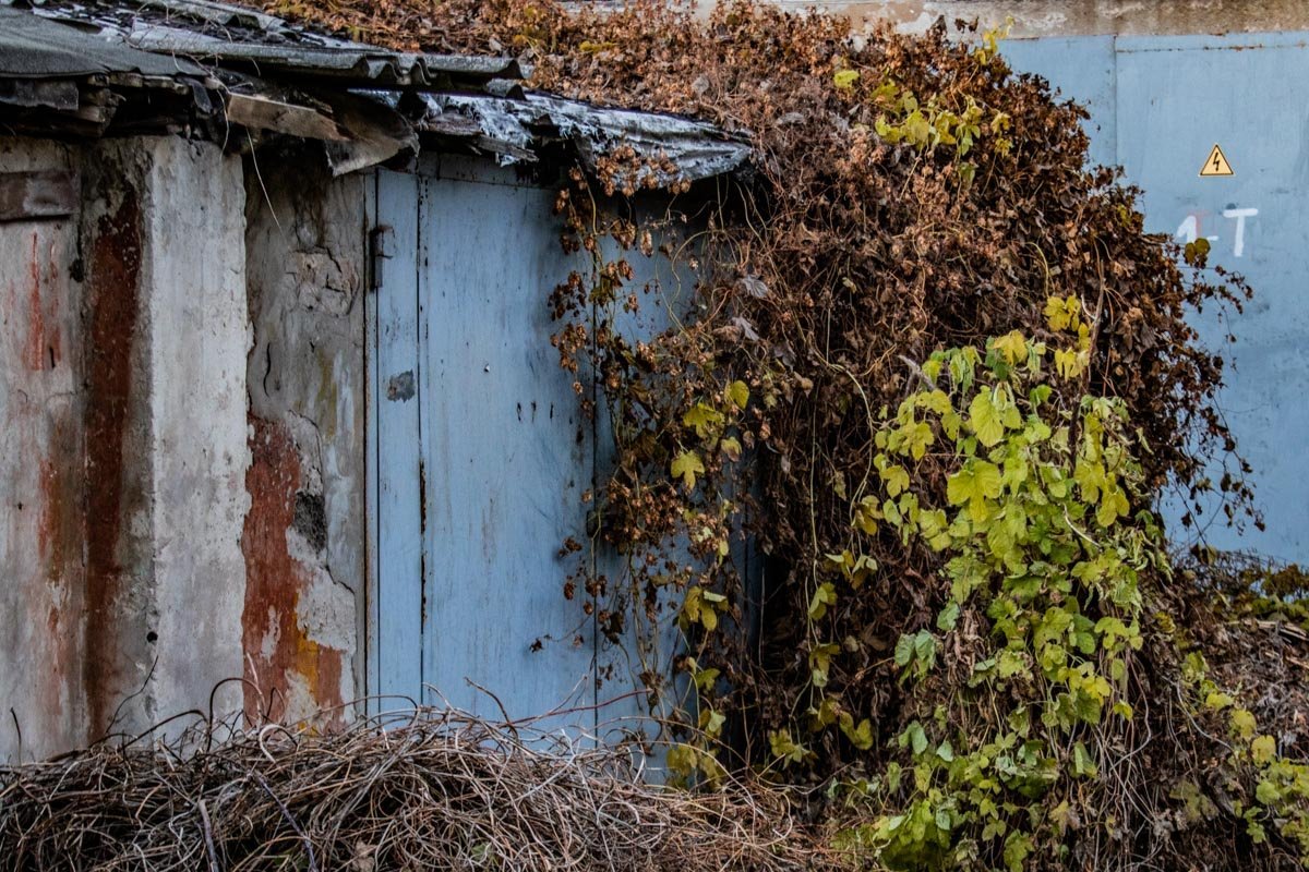 Время берет свое