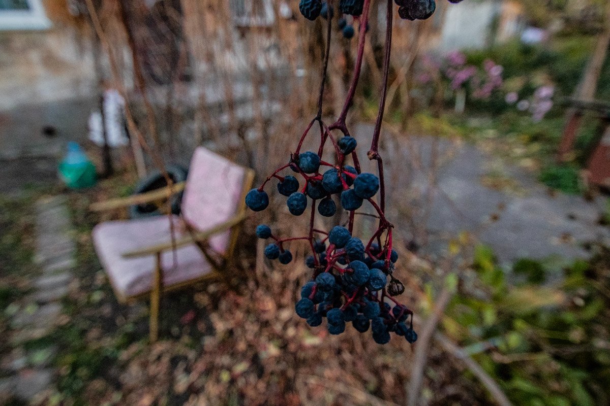 Дворы, в которых осень выглядит совсем по-другому
