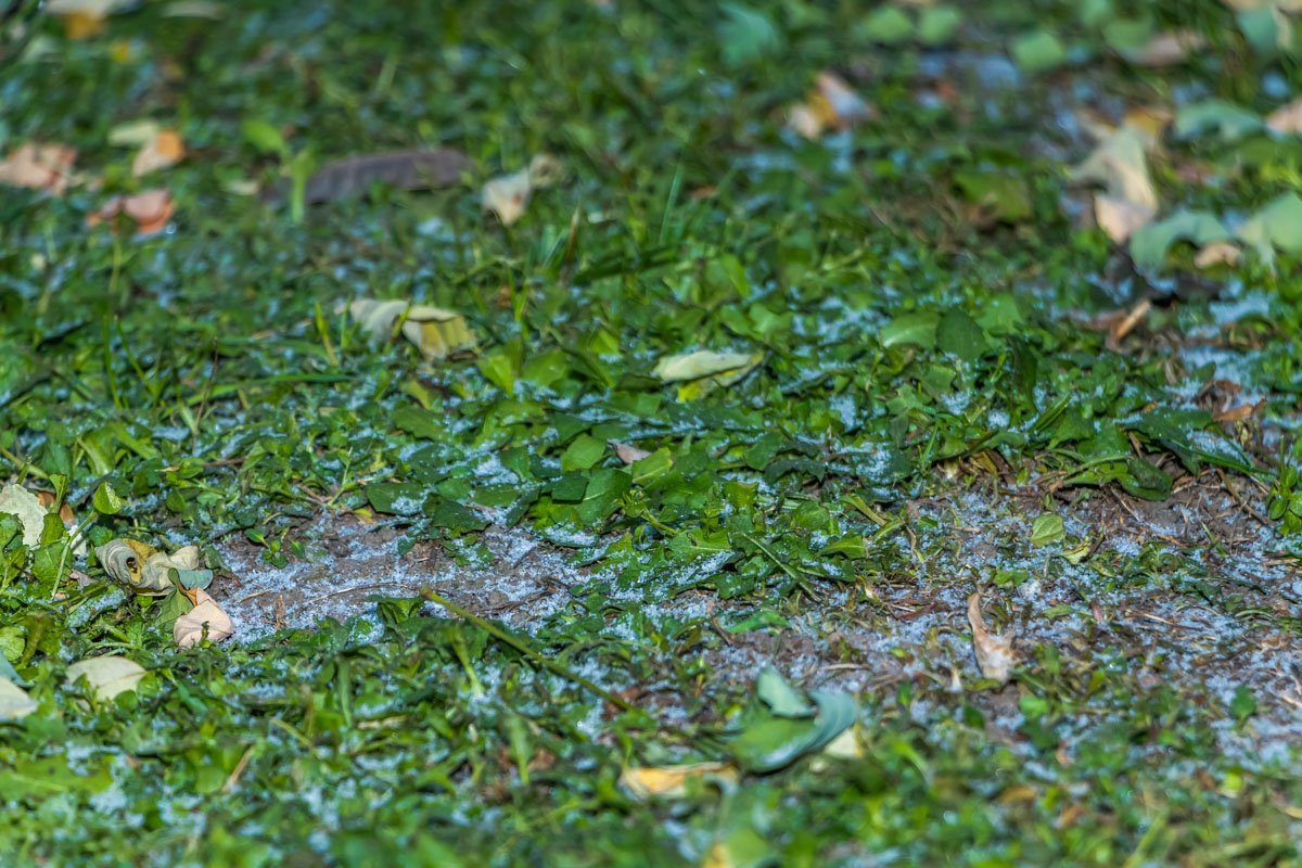 Цвет настроения - иней 