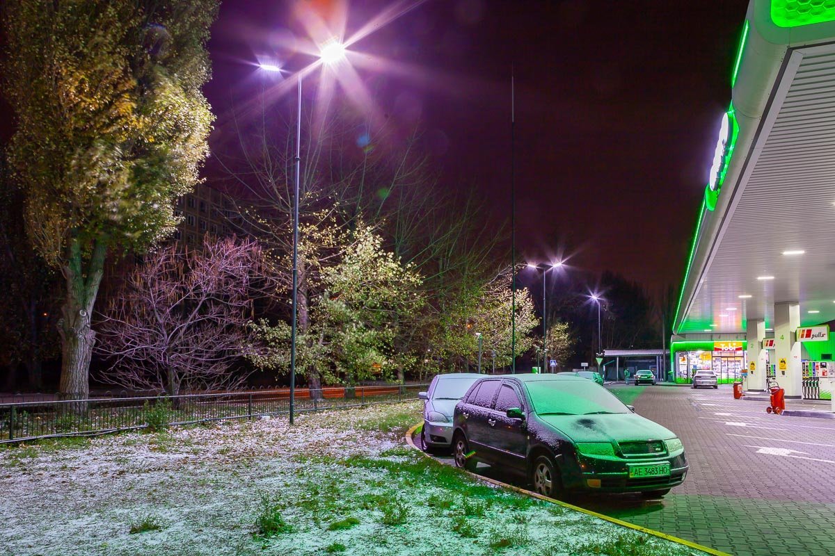 Снег ложится на еще зеленые траву и деревья Снег ложится на еще зеленые траву и деревья