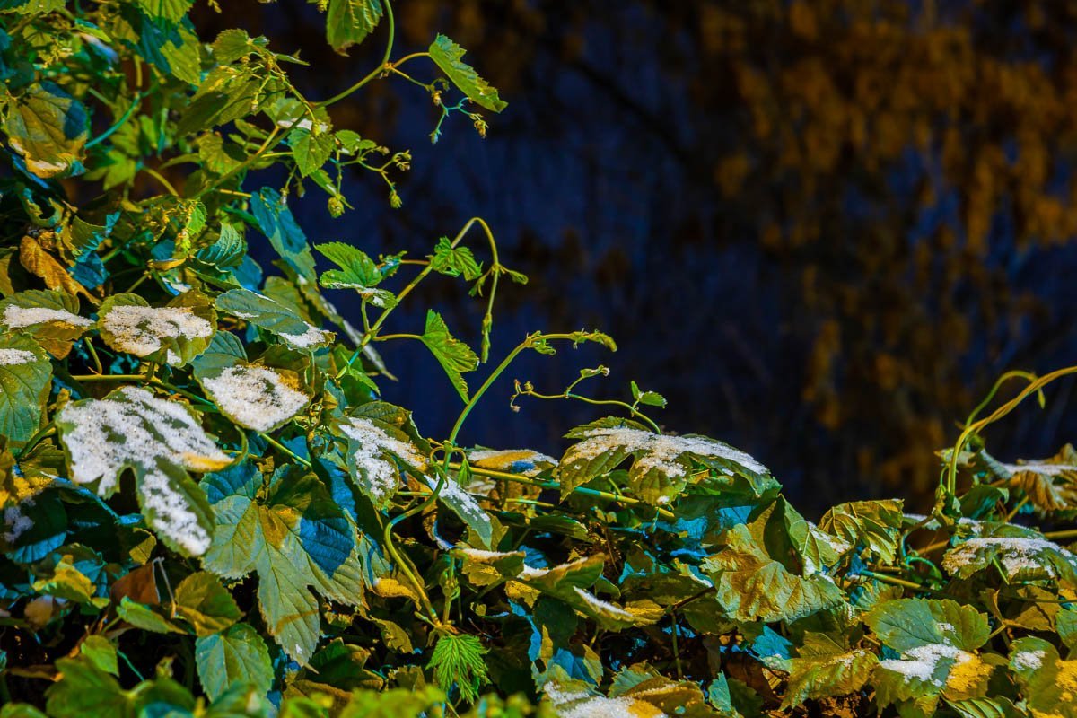 Особенное осенне-зимнее настроение Особенное осенне-зимнее настроение