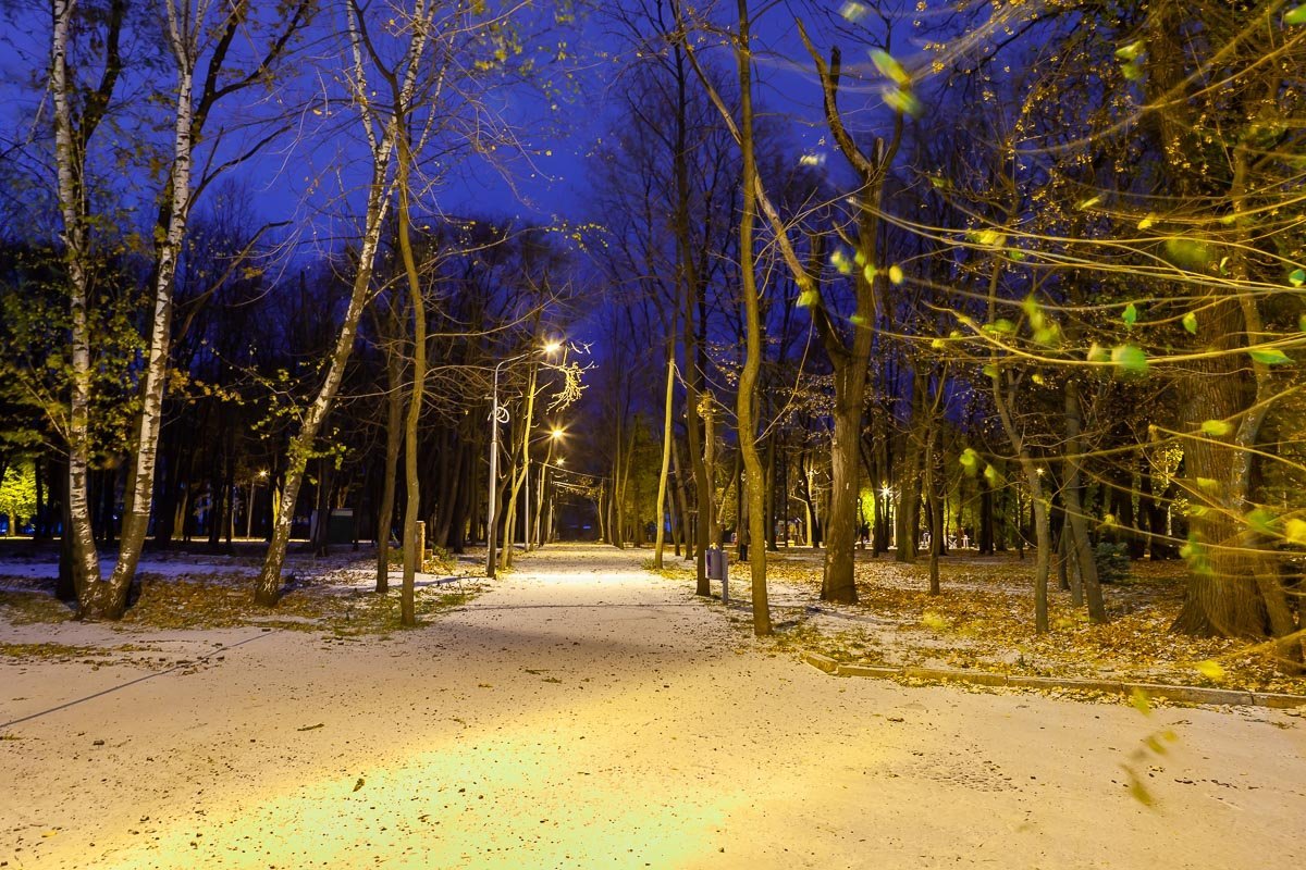 Лучше всего можно прочувствовать приход зимы в парках Лучше всего можно прочувствовать приход зимы в парках