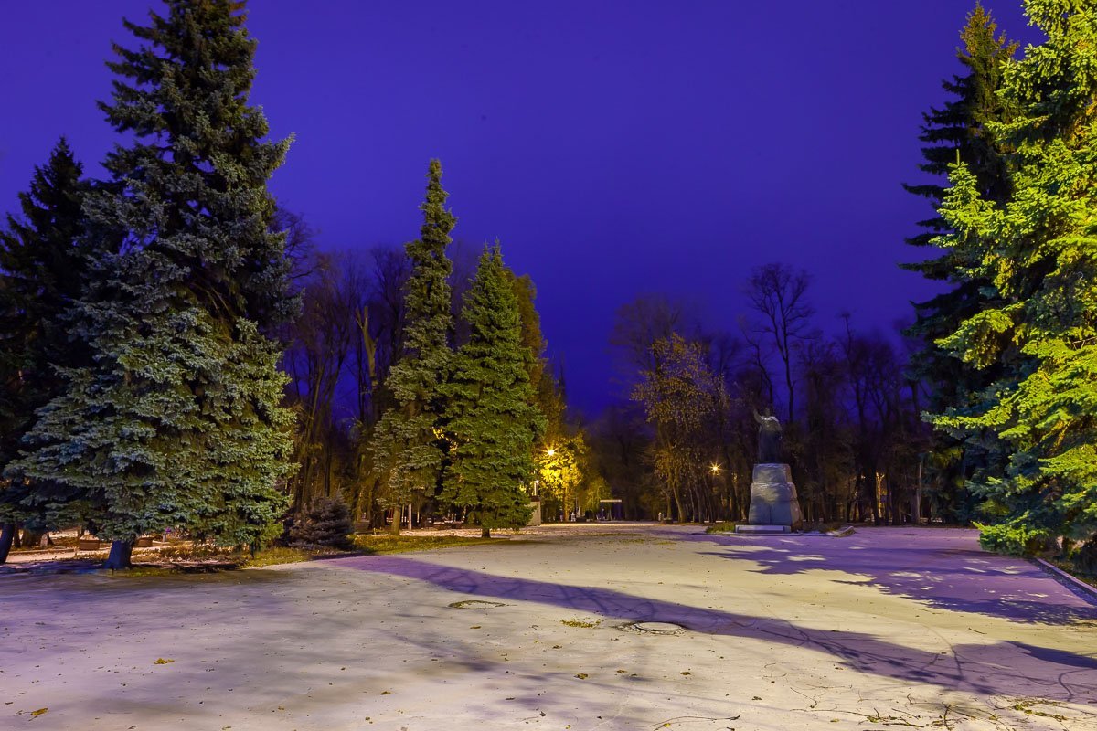 Снег тонкой пеленой укутал землю Снег тонкой пеленой укутал землю