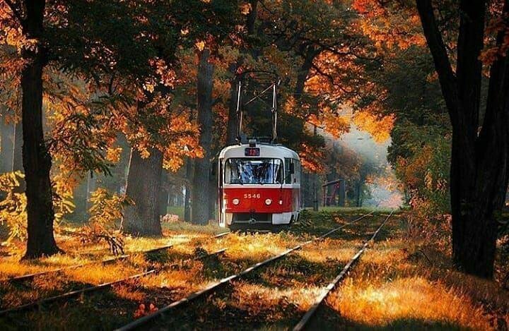 Осень прекрасна. Автор фото: chirikalove