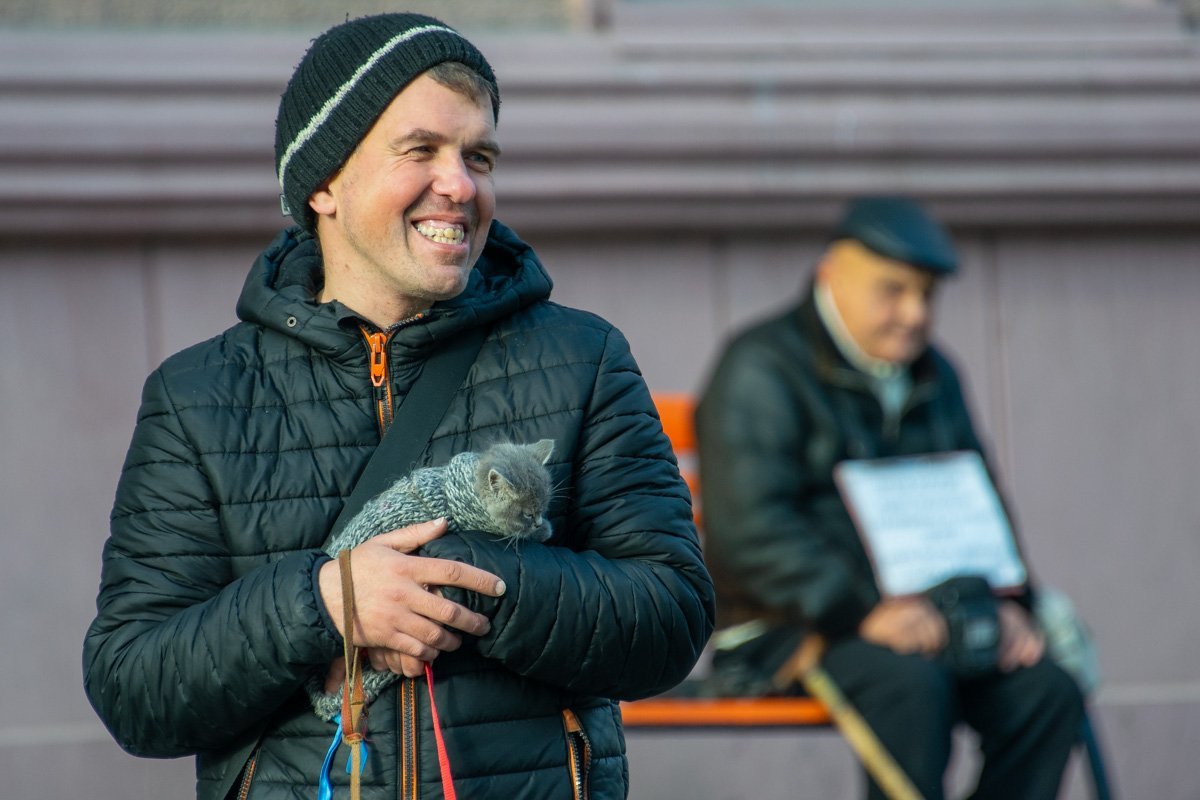 Просто котик в свитере. Листайте дальше