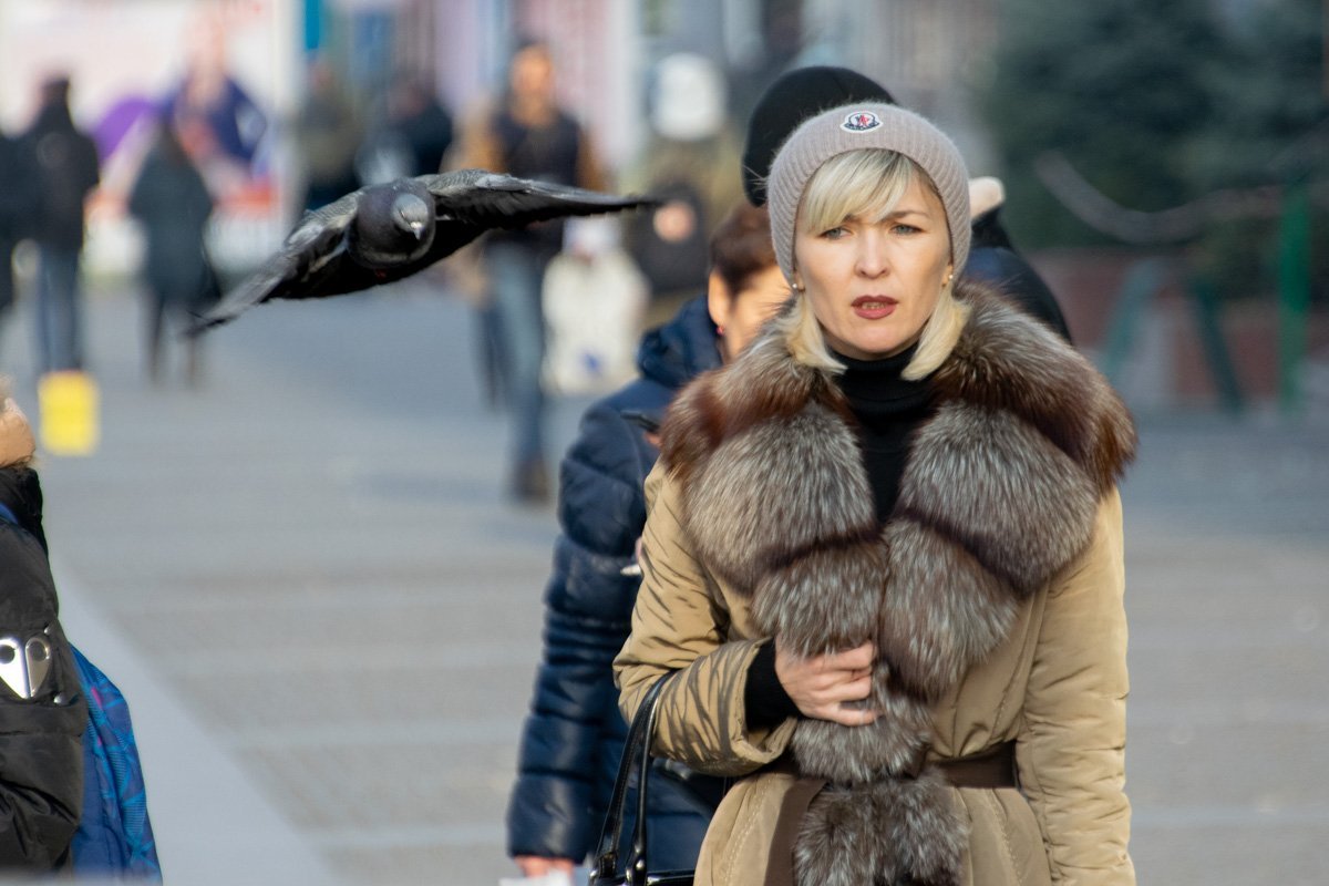 Когда ты диснеевская принцесса, пытаешься не палиться, но звери и птицы сами тебя находят