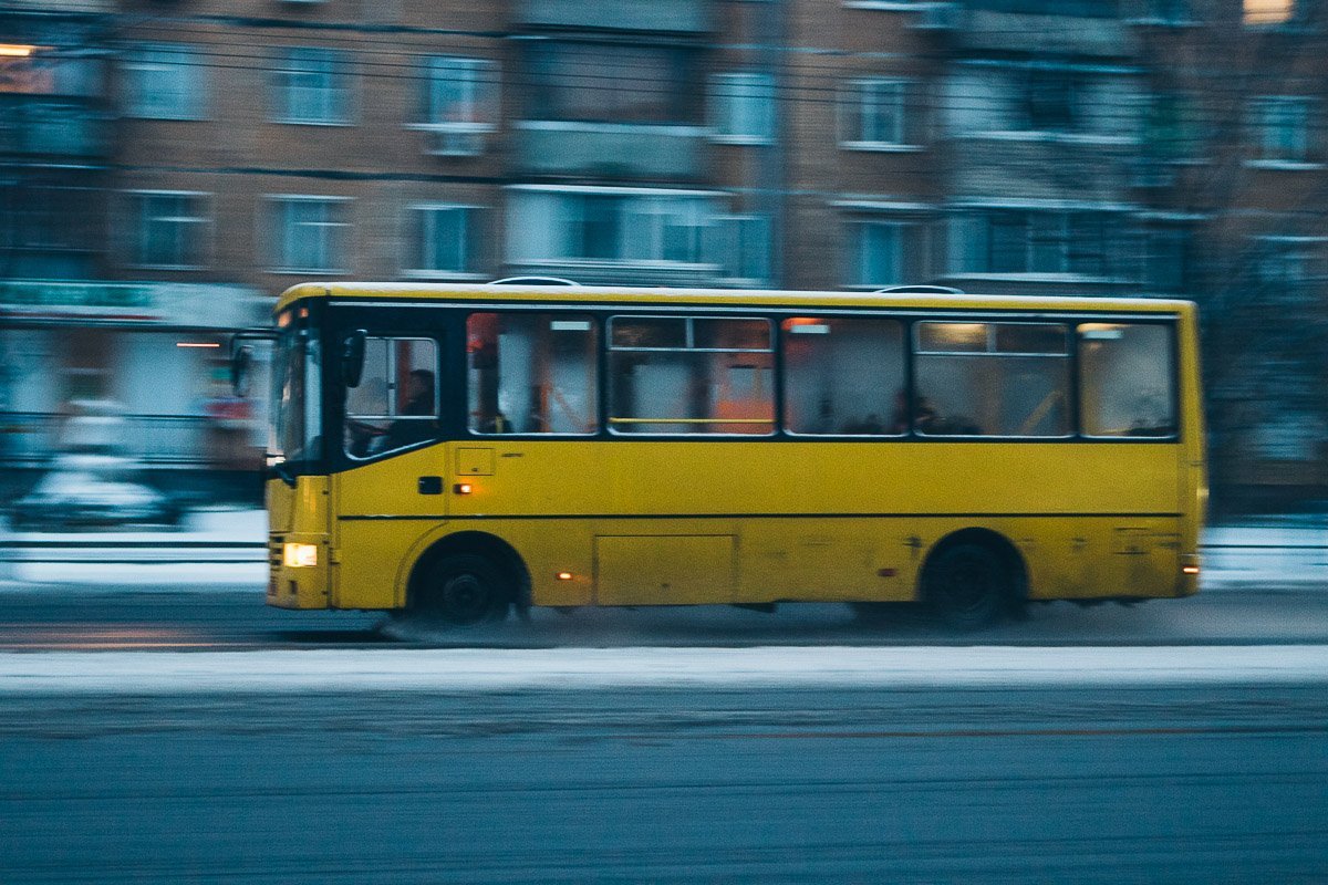 Утренняя суета 