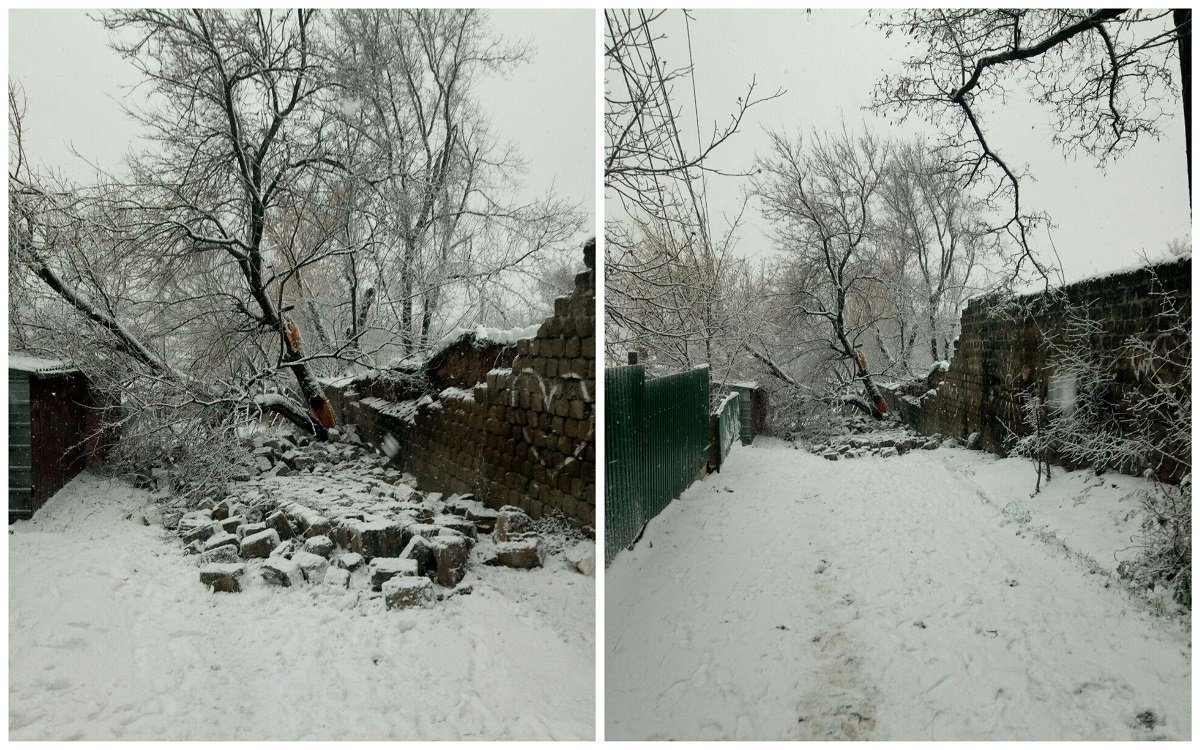 Дерево разрушило забор Дерево разрушило забор