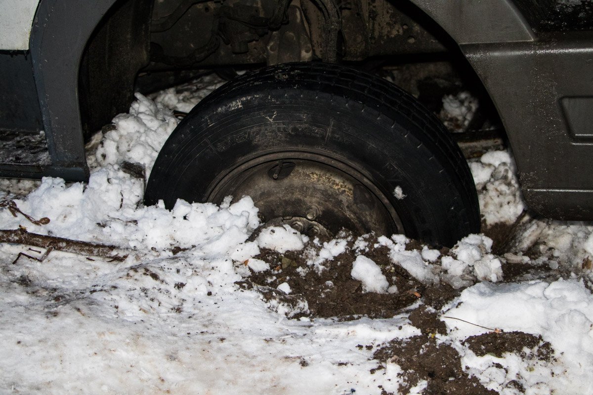 Свежую Свежую