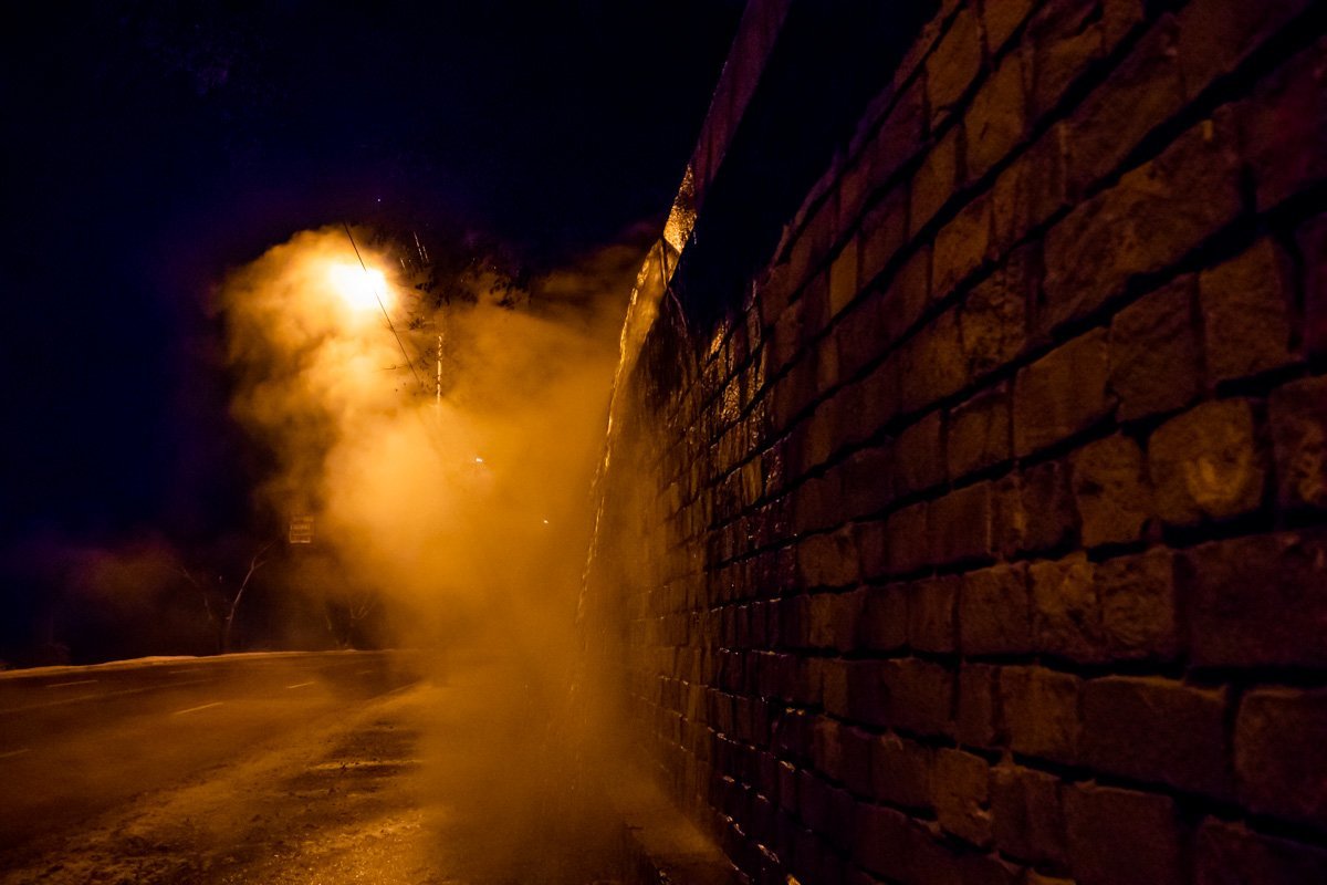 Фото: Дмитрий Федоров Фото: Дмитрий Федоров