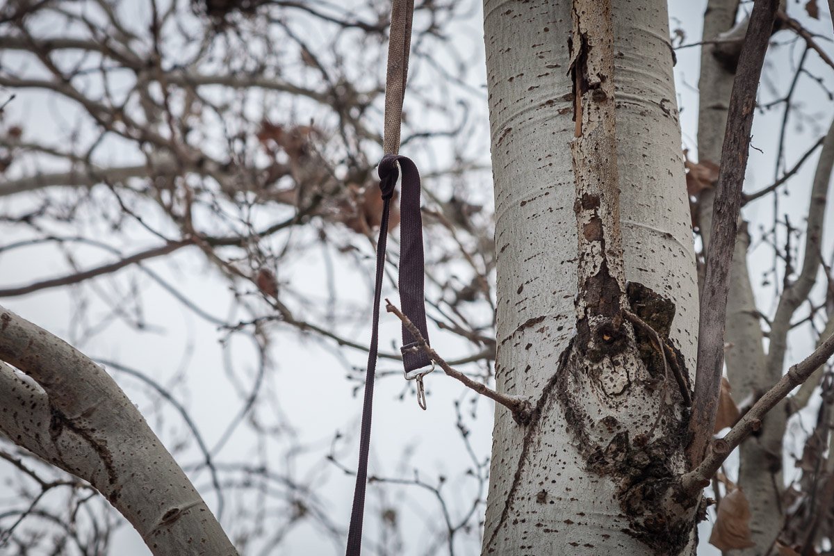 Предварительно, умерший покончил жизнь самоубийством Предварительно, умерший покончил жизнь самоубийством