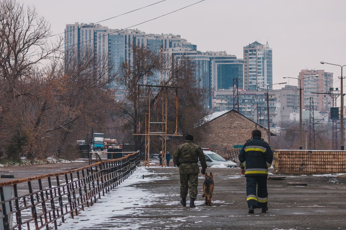 Обыскав помещение, служебная собака также ничего не нашла