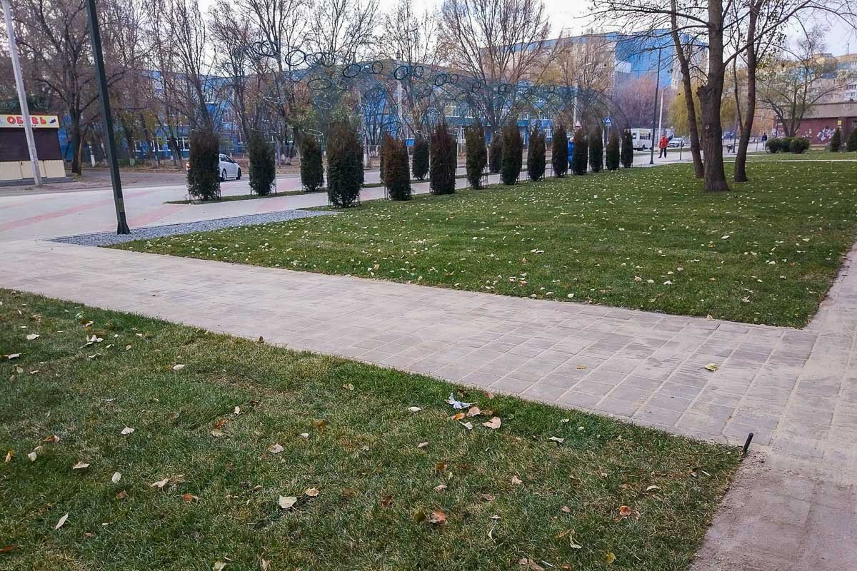 Уже высадили кустарники и деревья Уже высадили кустарники и деревья