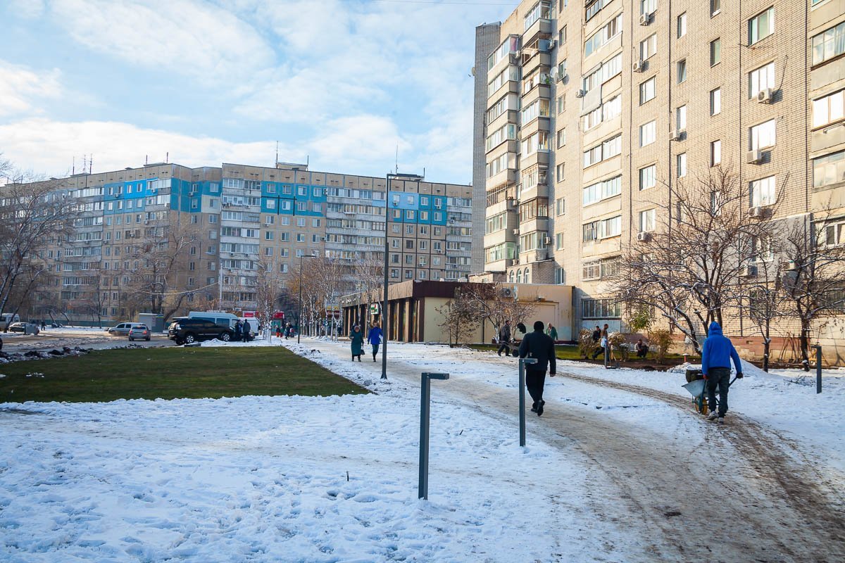 Сейчас сложно оценить красоту парка Сейчас сложно оценить красоту парка