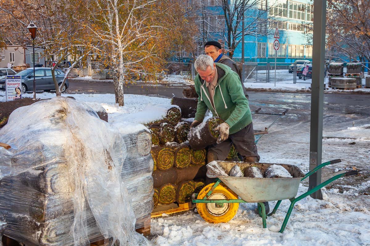 Время высаживать газон Время высаживать газон