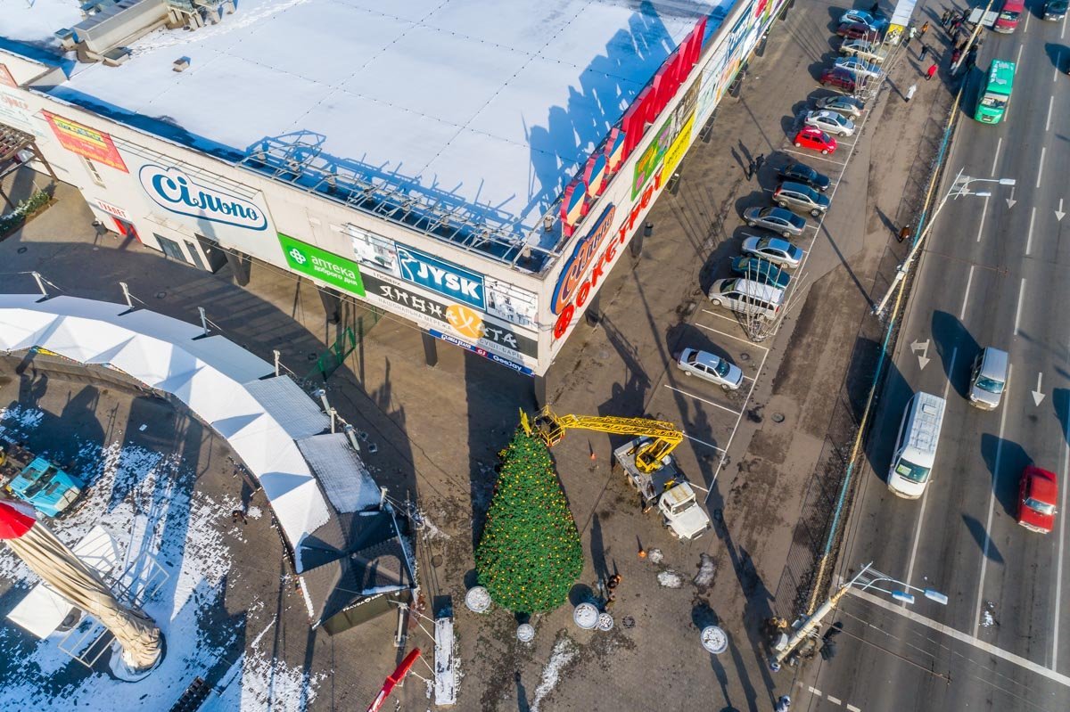 Скоро елки будут повсюду Скоро елки будут повсюду