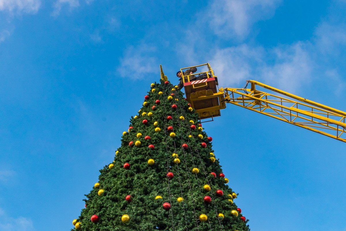 Ее почти украсили Ее почти украсили