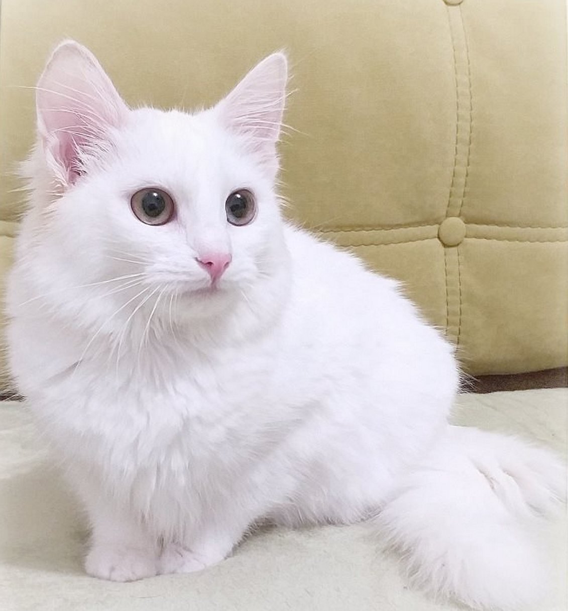 В этих глазах целая Вселенная