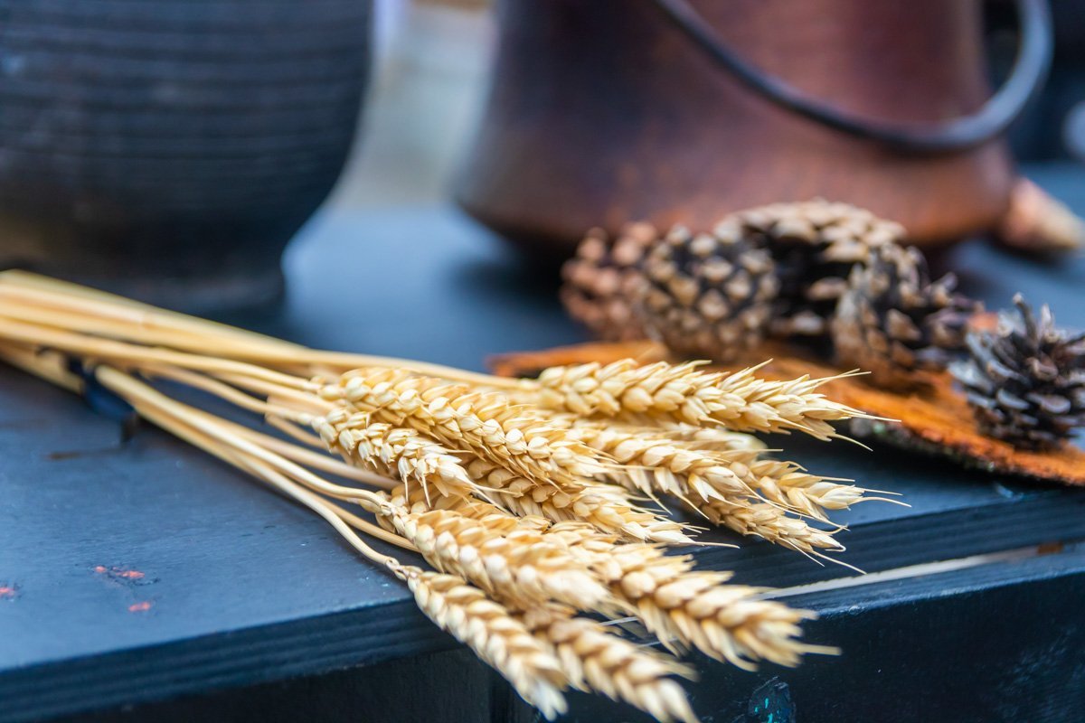 Фото: Дмитрий Федоров