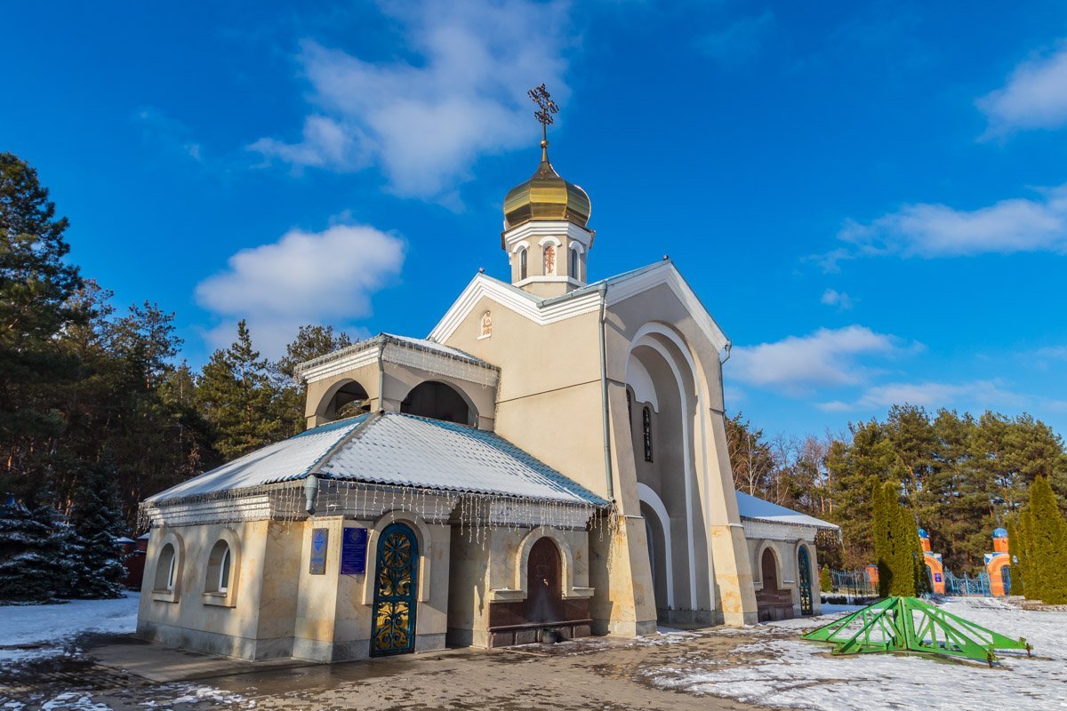 Над сосновым лесом даже небо синее Над сосновым лесом даже небо синее
