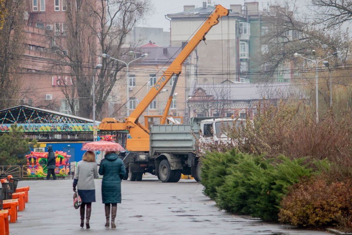 Елку начали устанавливать