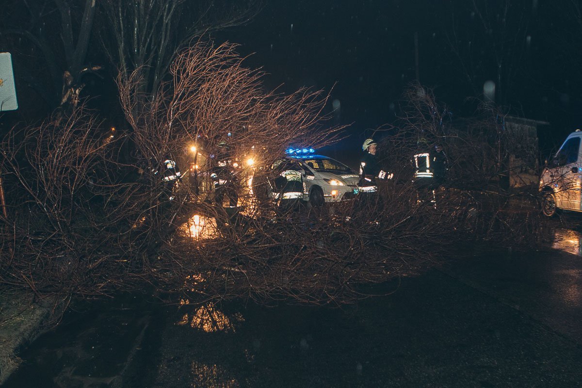 Экипаж патрульной полиции прибыл на место происшествия в течение 5 минут