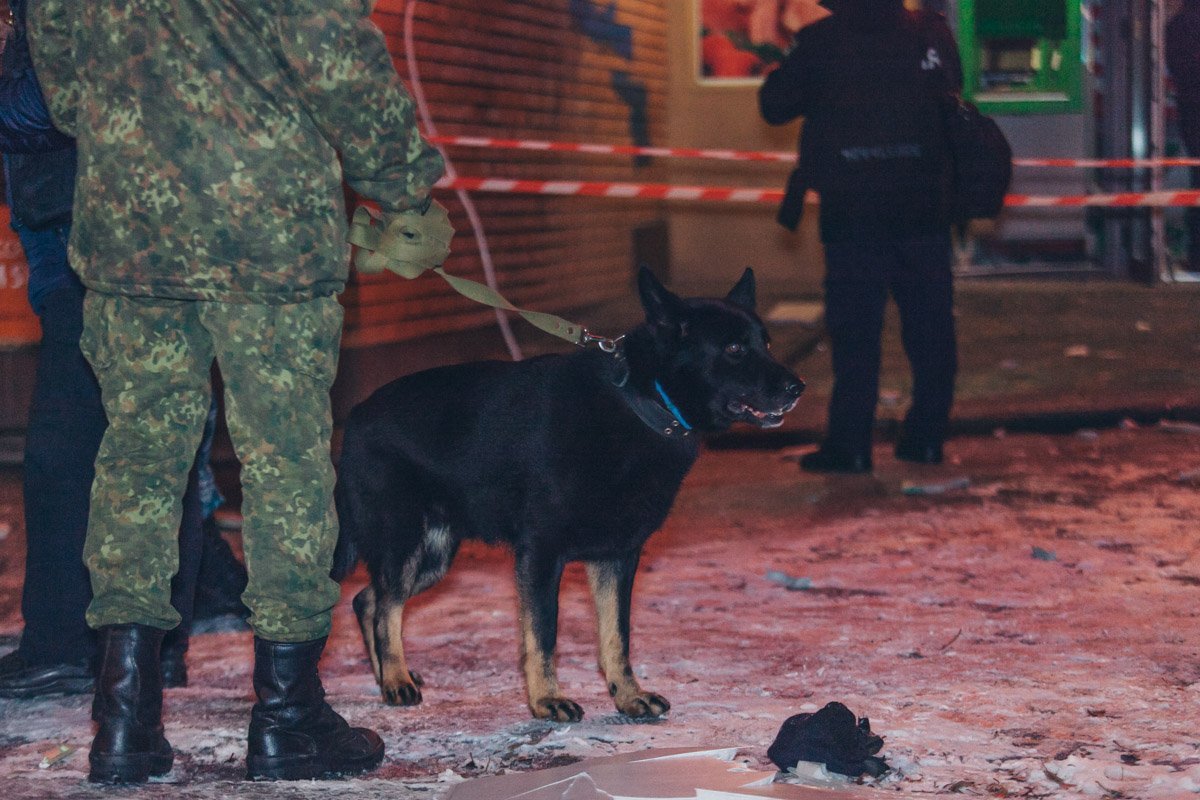 На месте события работали кинологи  На месте события работали кинологи