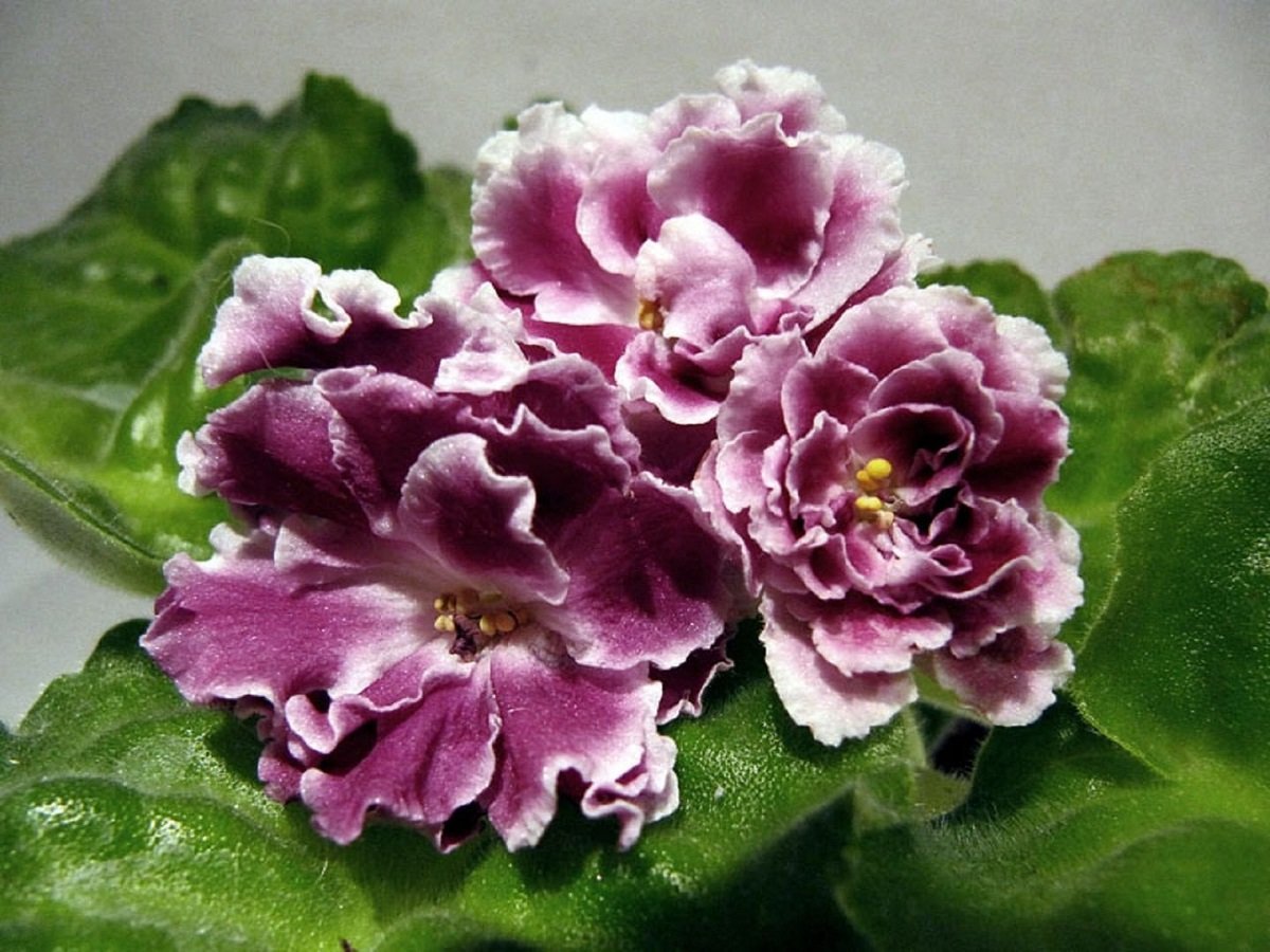 ТОП мероприятий, куда стоит пойти на выходных в Днепре 2