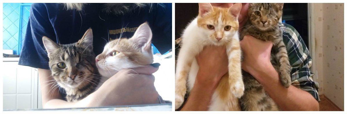 Захар и Ярик чувствуют себя хорошо