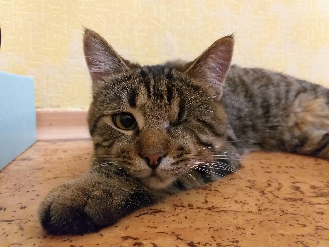 Захар живет полноценной жизнью