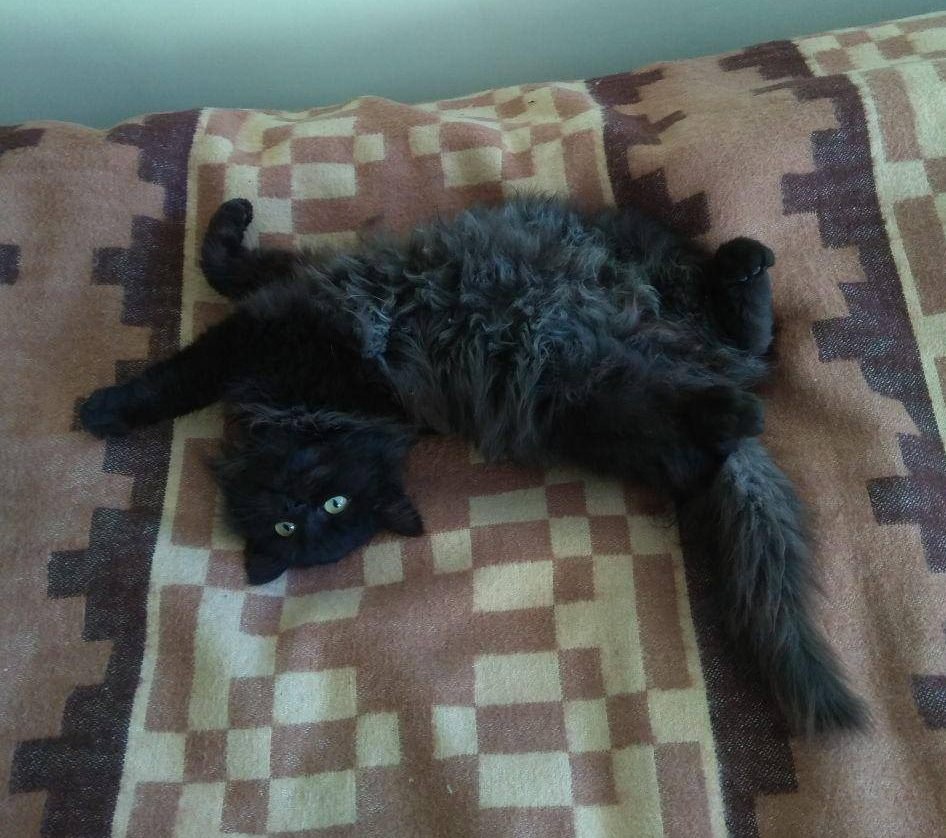 Нежная крошка