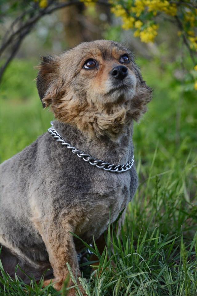 Фотомодель Эрика