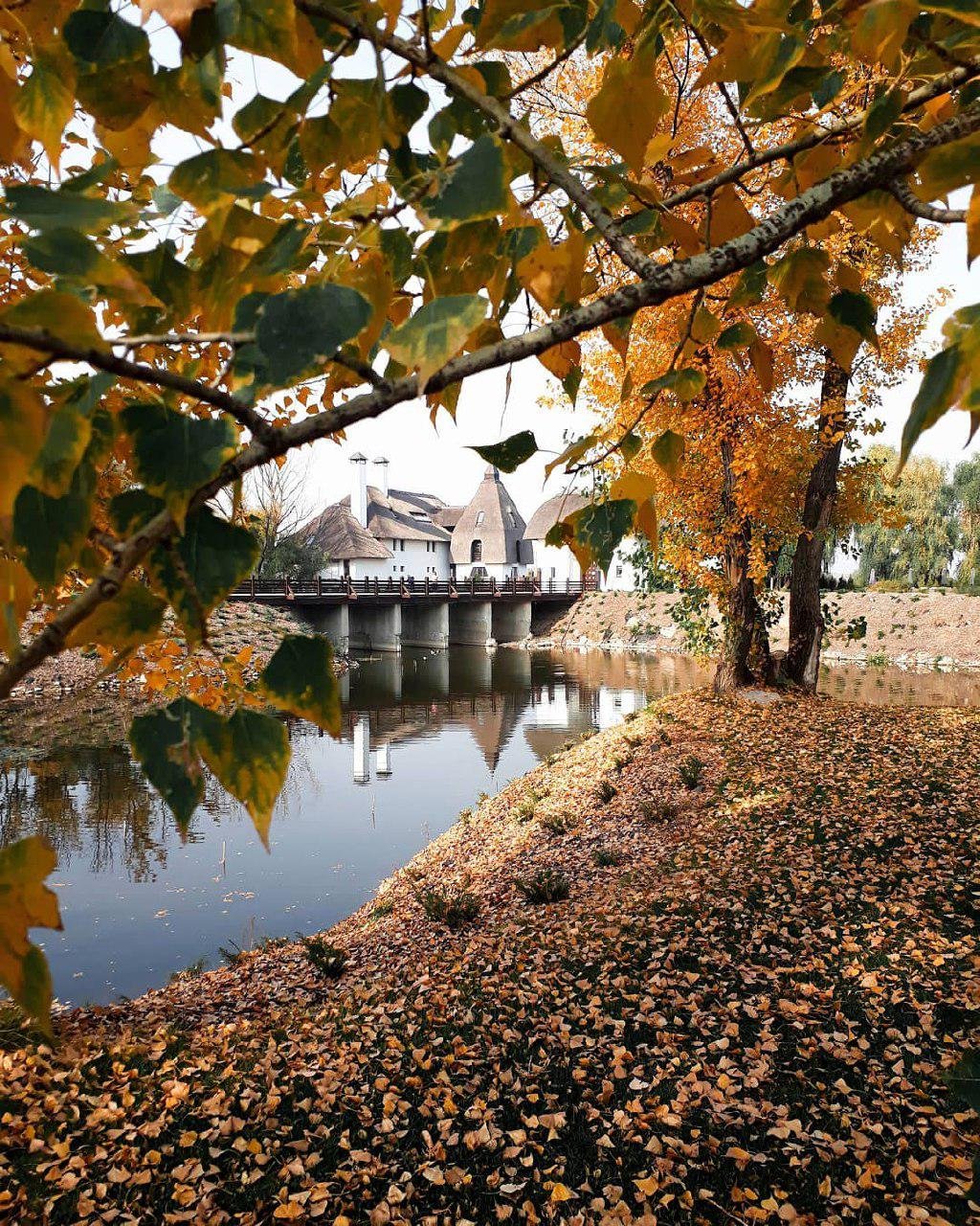 Полуосень, полузима. Фото: nana_buivol