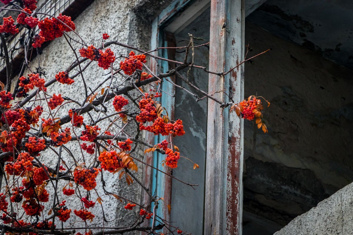 Здание расположено вплотную к учебному заведению и представляет угрозу для школьников Здание расположено вплотную к учебному заведению и представляет угрозу для школьников