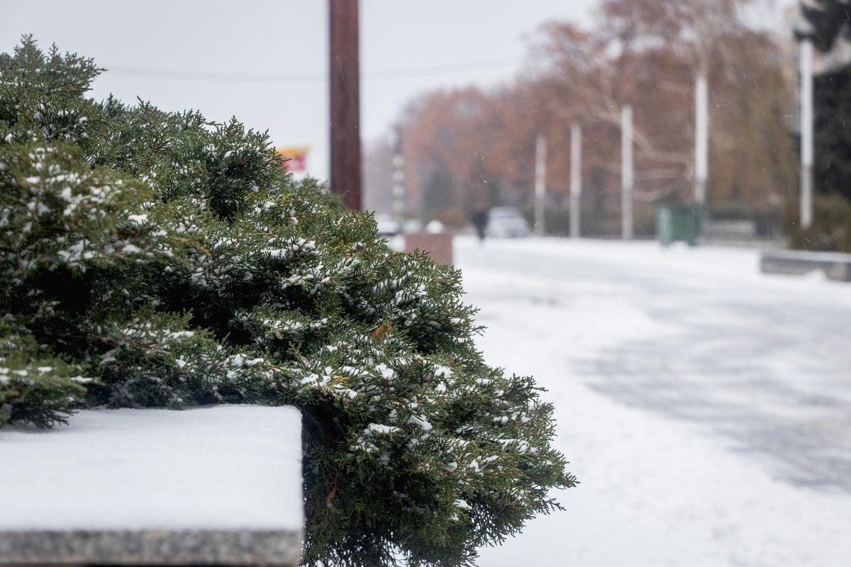 Чувствуется приближение Нового года Чувствуется приближение Нового года