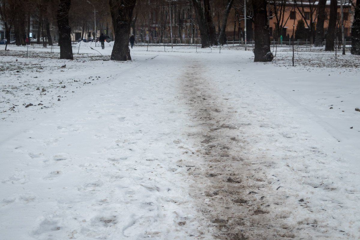 Первые тропинки Первые тропинки